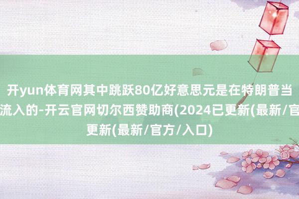 开yun体育网其中跳跃80亿好意思元是在特朗普当选总统后流入的-开云官网切尔西赞助商(2024已更新(最新/官方/入口)