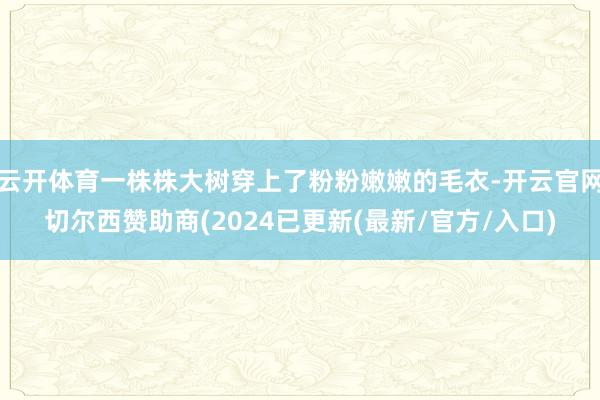 云开体育一株株大树穿上了粉粉嫩嫩的毛衣-开云官网切尔西赞助商(2024已更新(最新/官方/入口)